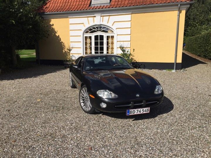 Jaguar XK8 Coupé billede 5