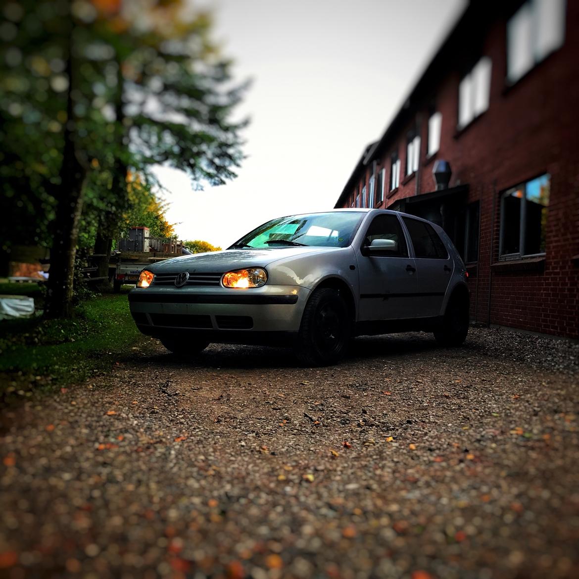 VW Golf mk4 1.6 Sr billede 5