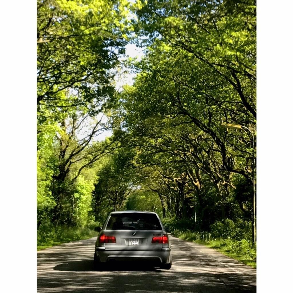 BMW E39 528i solgt igen billede 9