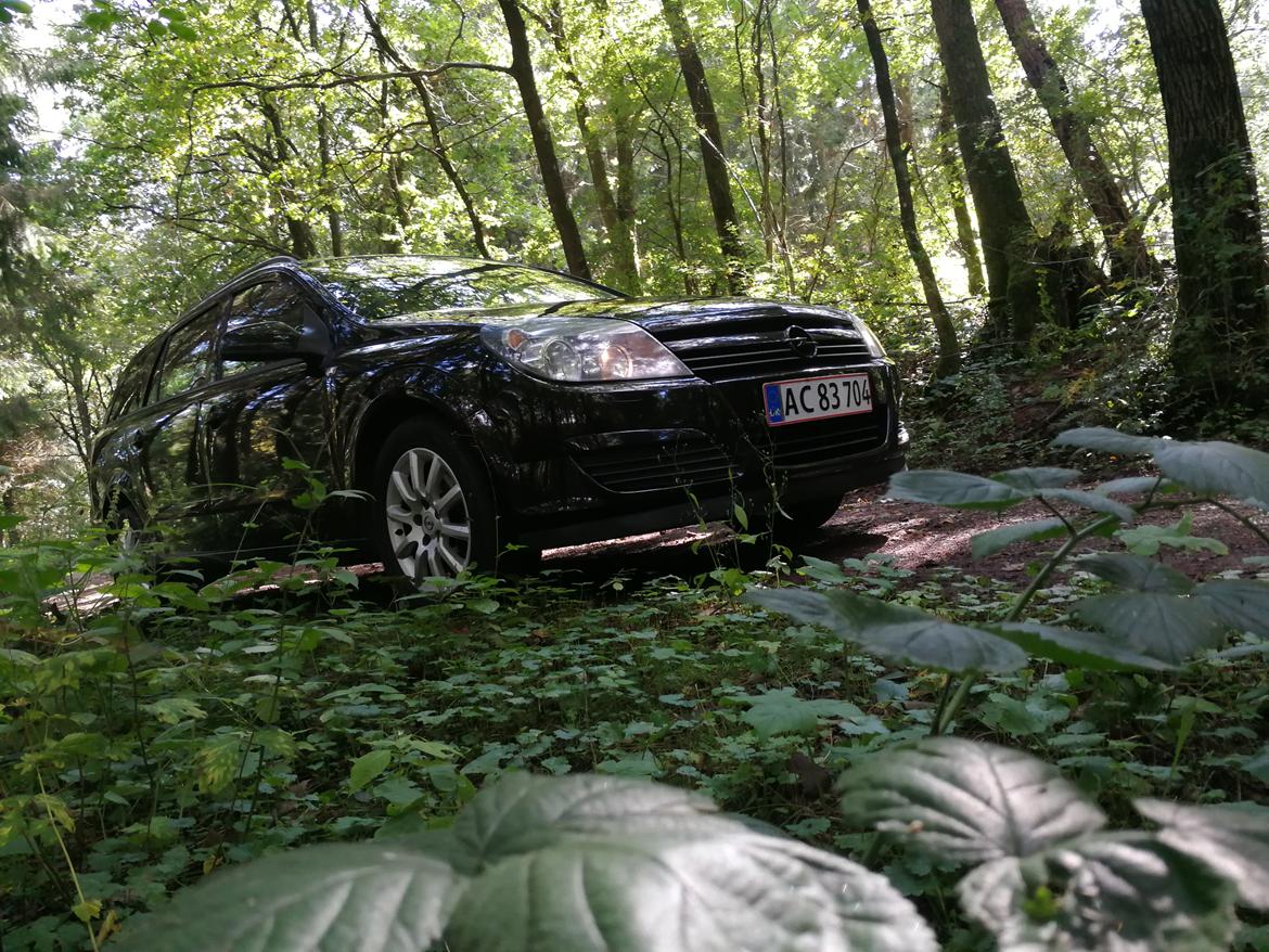 Opel Astra H Wagon billede 9