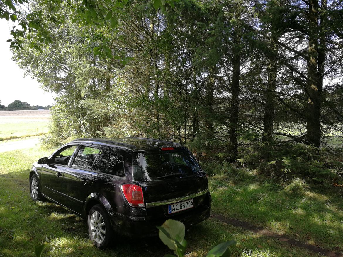 Opel Astra H Wagon billede 11