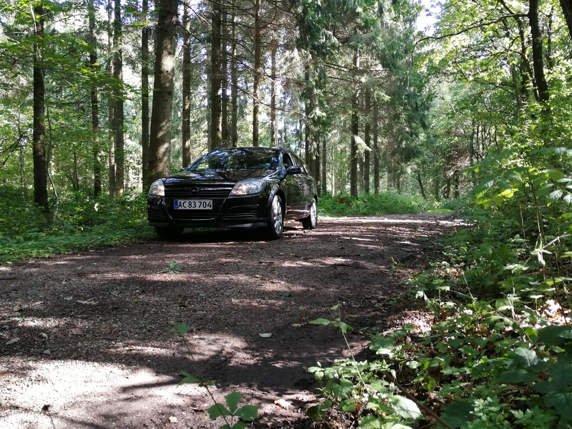 Opel Astra H Wagon billede 10