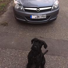 Opel Astra H GTC SOLGT