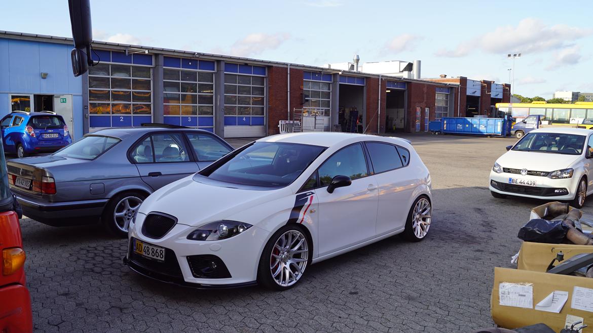 Seat Leon Cupra billede 1