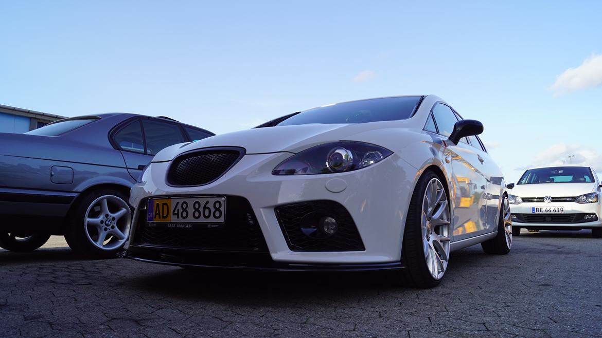 Seat Leon Cupra billede 2