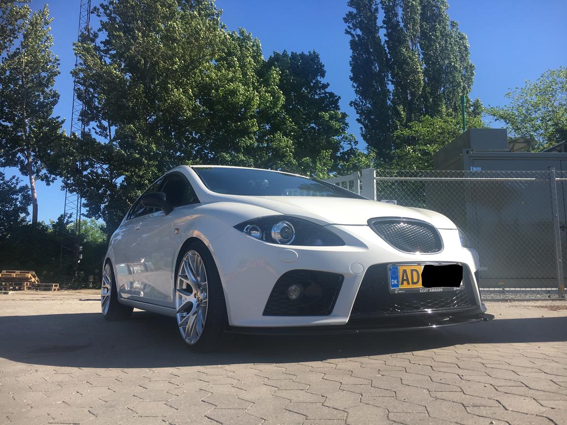 Seat Leon Cupra billede 19