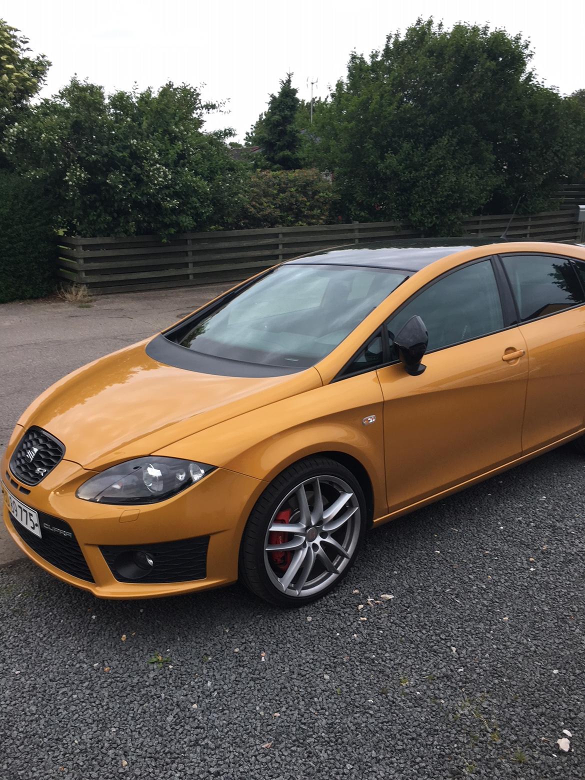 Seat Leon Cupra R billede 12