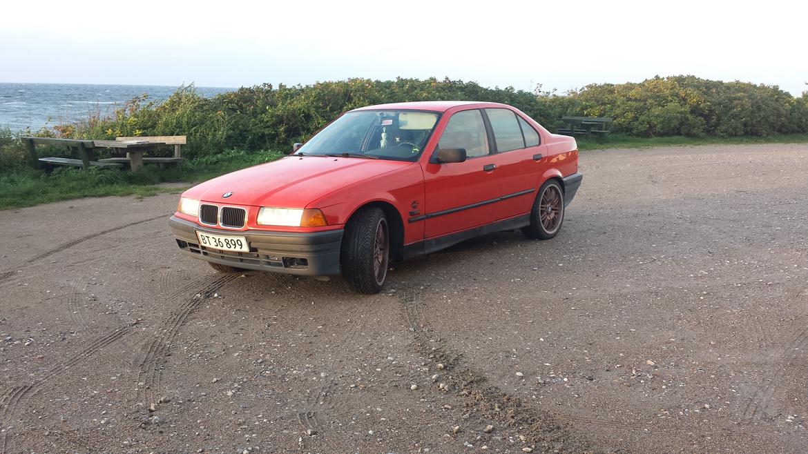 BMW 316i. (Solgt)  billede 8