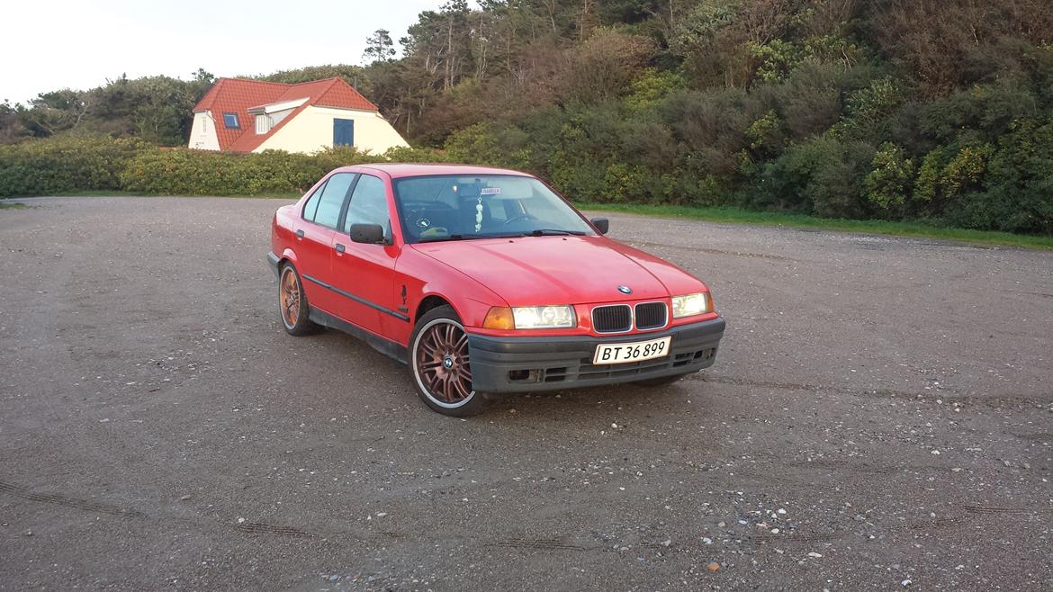 BMW 316i. (Solgt)  billede 10