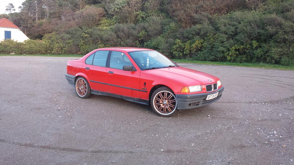 BMW 316i. (Solgt)  billede 11