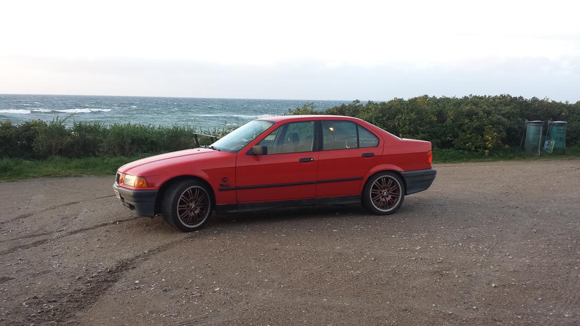 BMW 316i. (Solgt)  billede 12