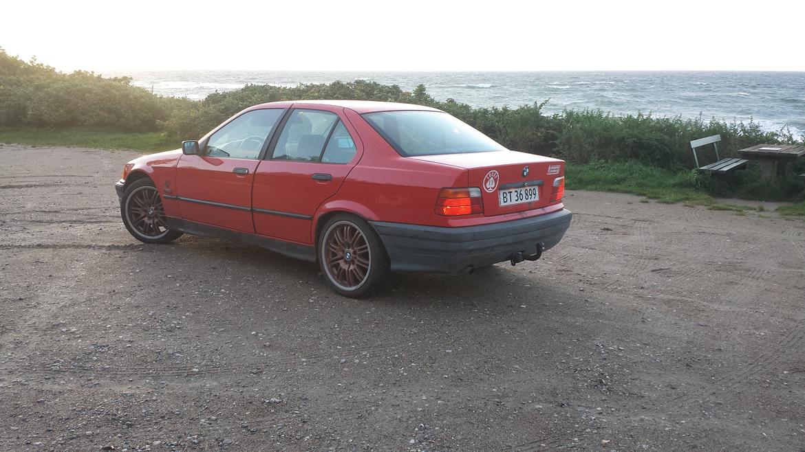 BMW 316i. (Solgt)  billede 13