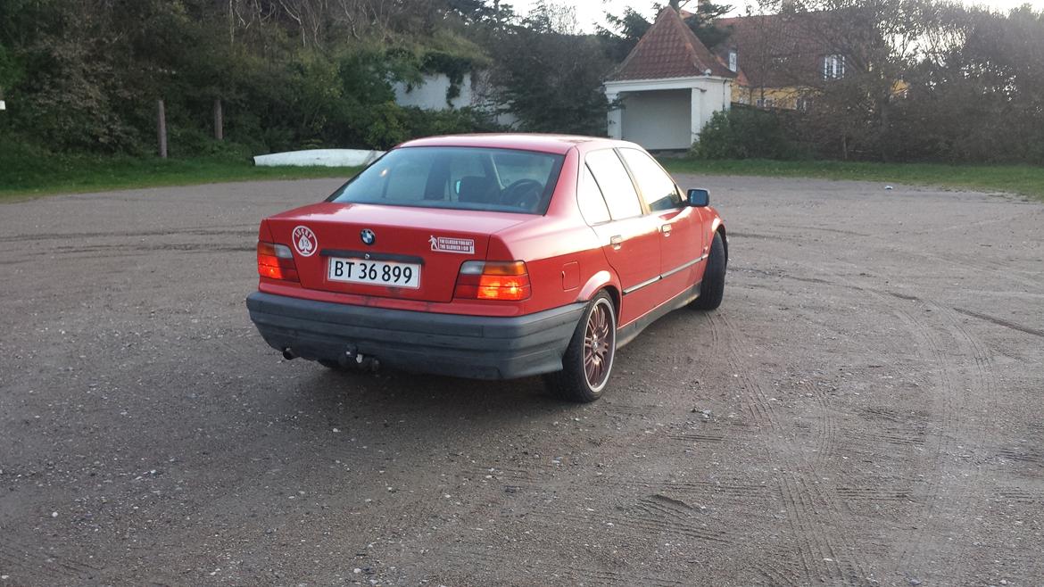 BMW 316i. (Solgt)  billede 14