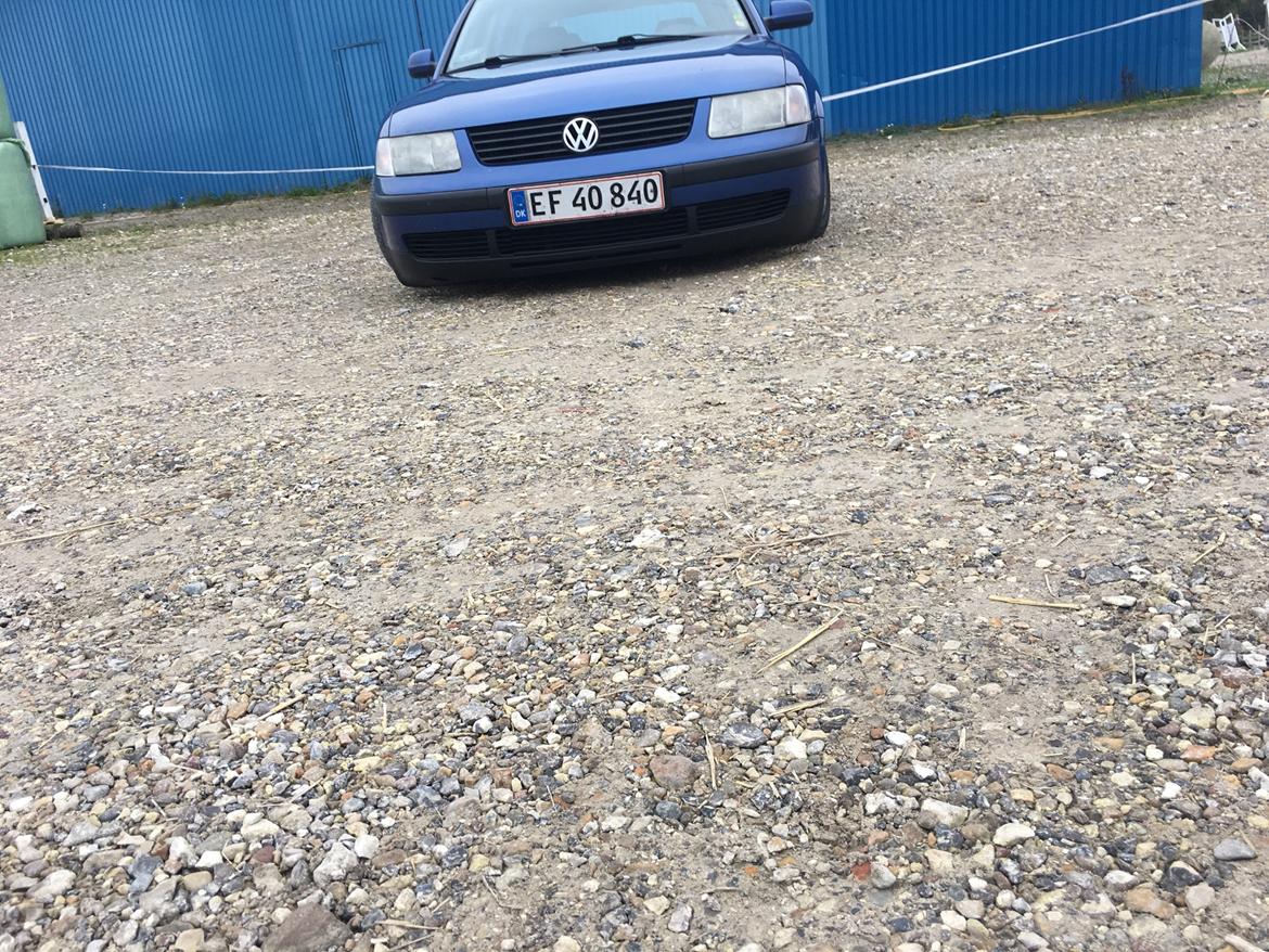 VW Passat 3b billede 7