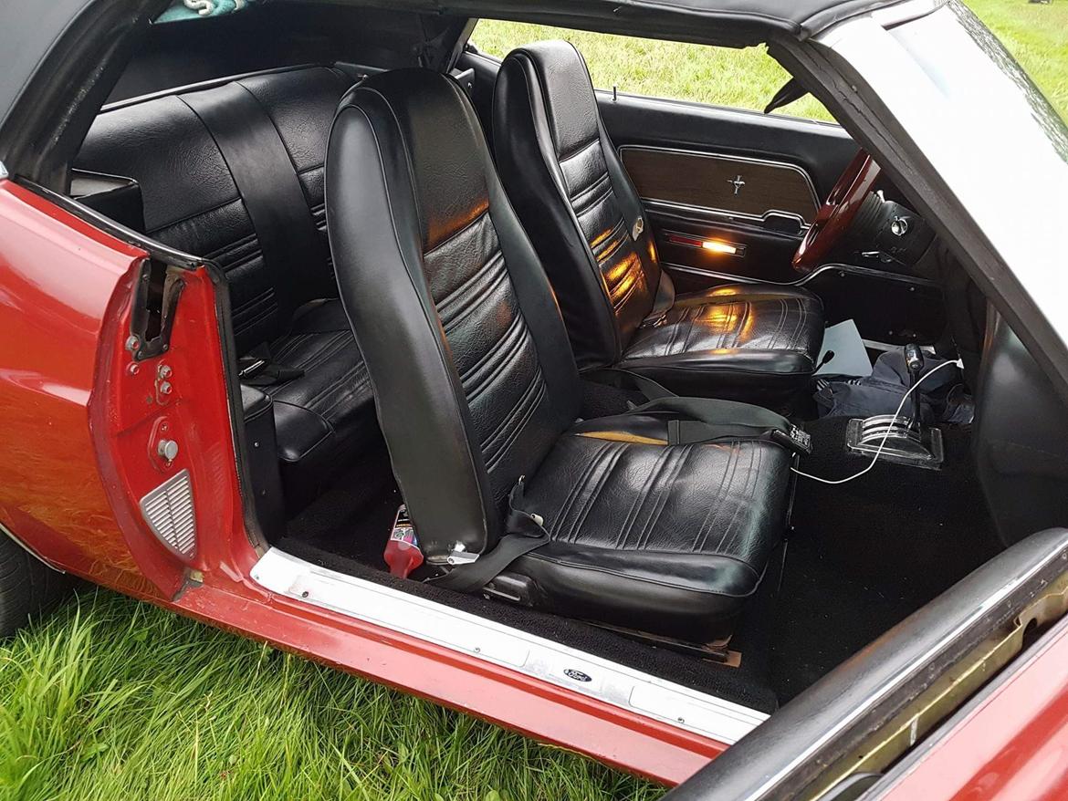 Ford Mustang Cabriolet billede 5