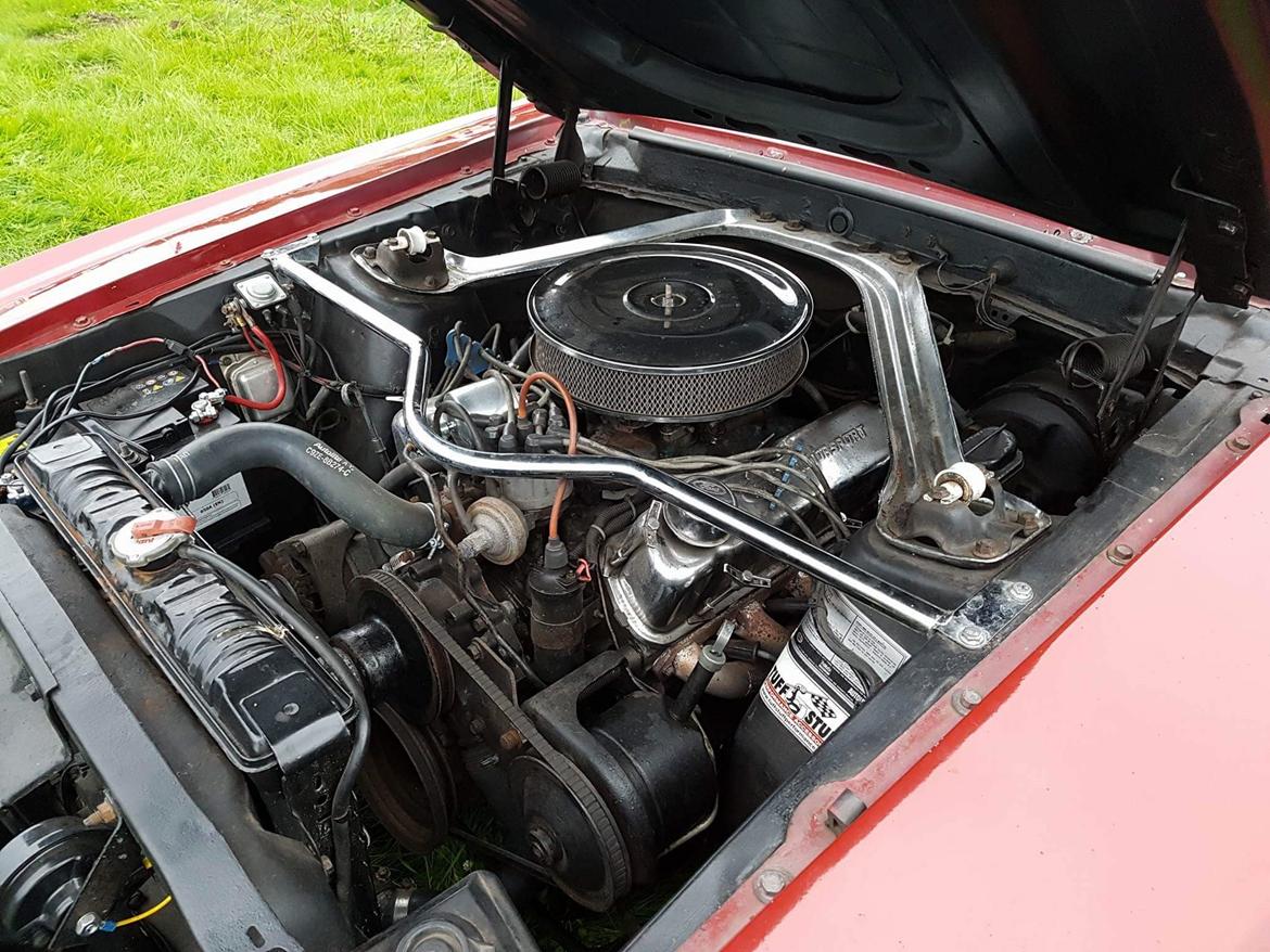 Ford Mustang Cabriolet billede 6