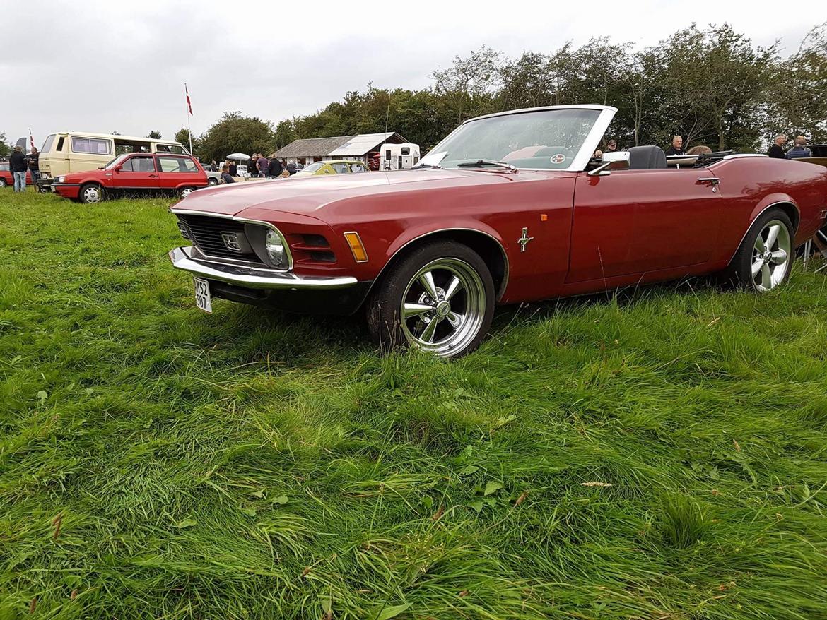 Ford Mustang Cabriolet billede 10