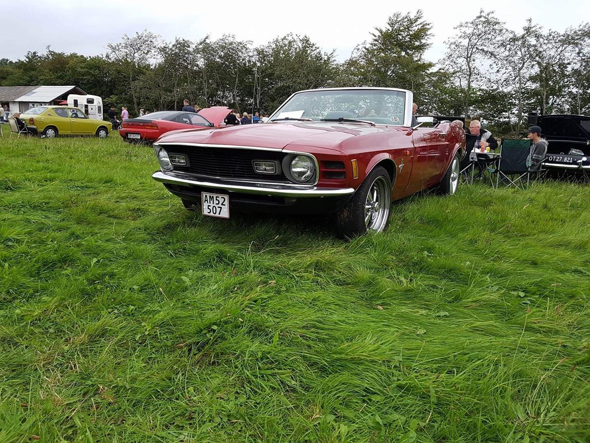 Ford Mustang Cabriolet billede 11