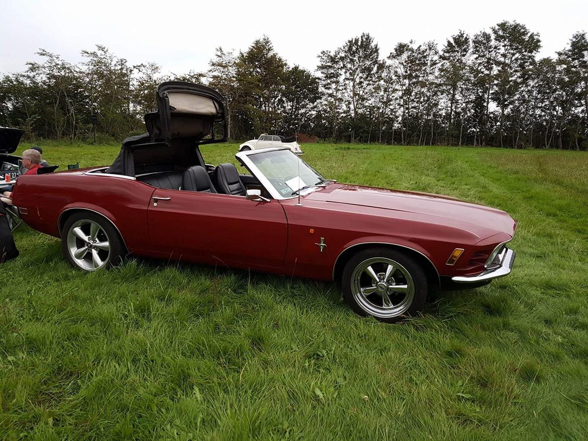 Ford Mustang Cabriolet billede 9