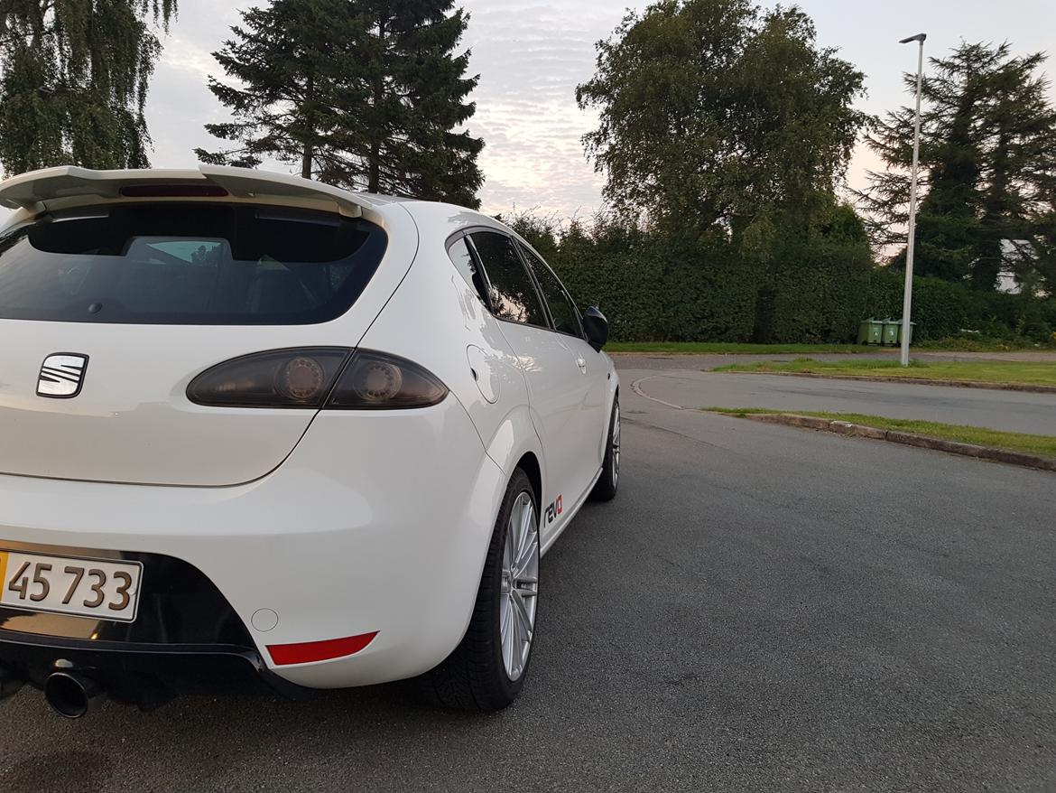 Seat Leon Cupra billede 4