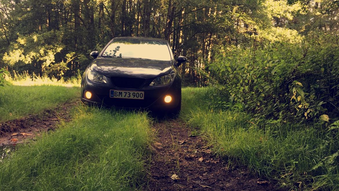 Seat Ibiza 1,4 TDI 6J billede 1