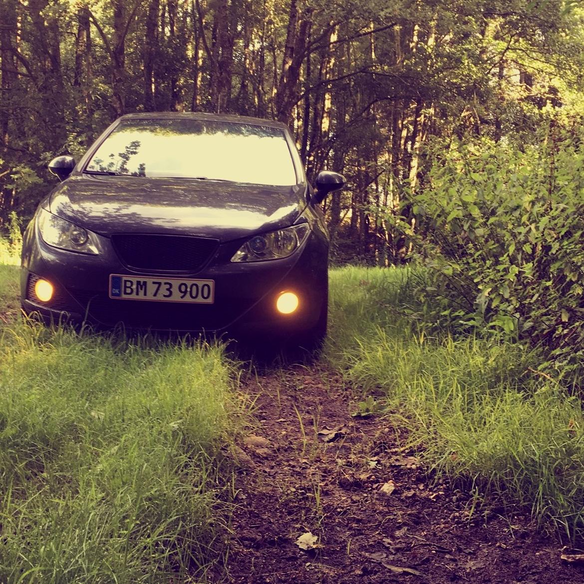 Seat Ibiza 1,4 TDI 6J billede 15