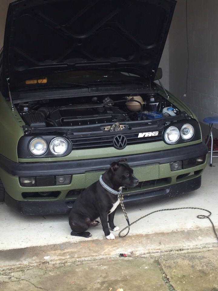 VW Golf MK3 VR6 billede 13