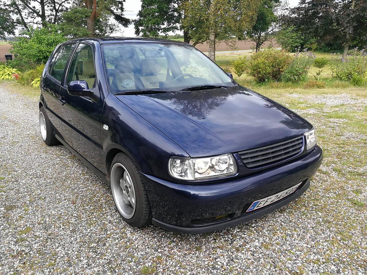 VW Polo6n  billede 6