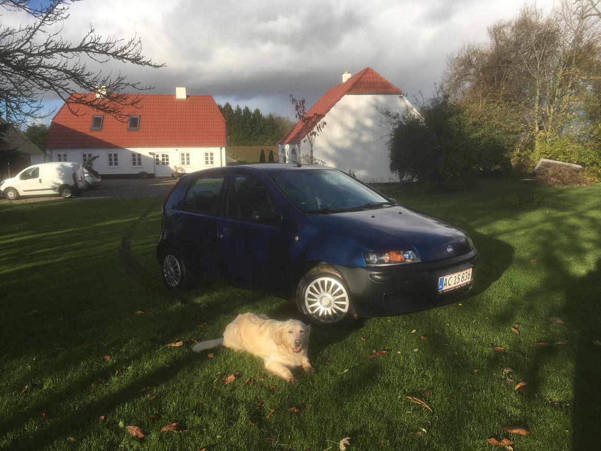 Fiat Punto MkII 1,2 billede 6