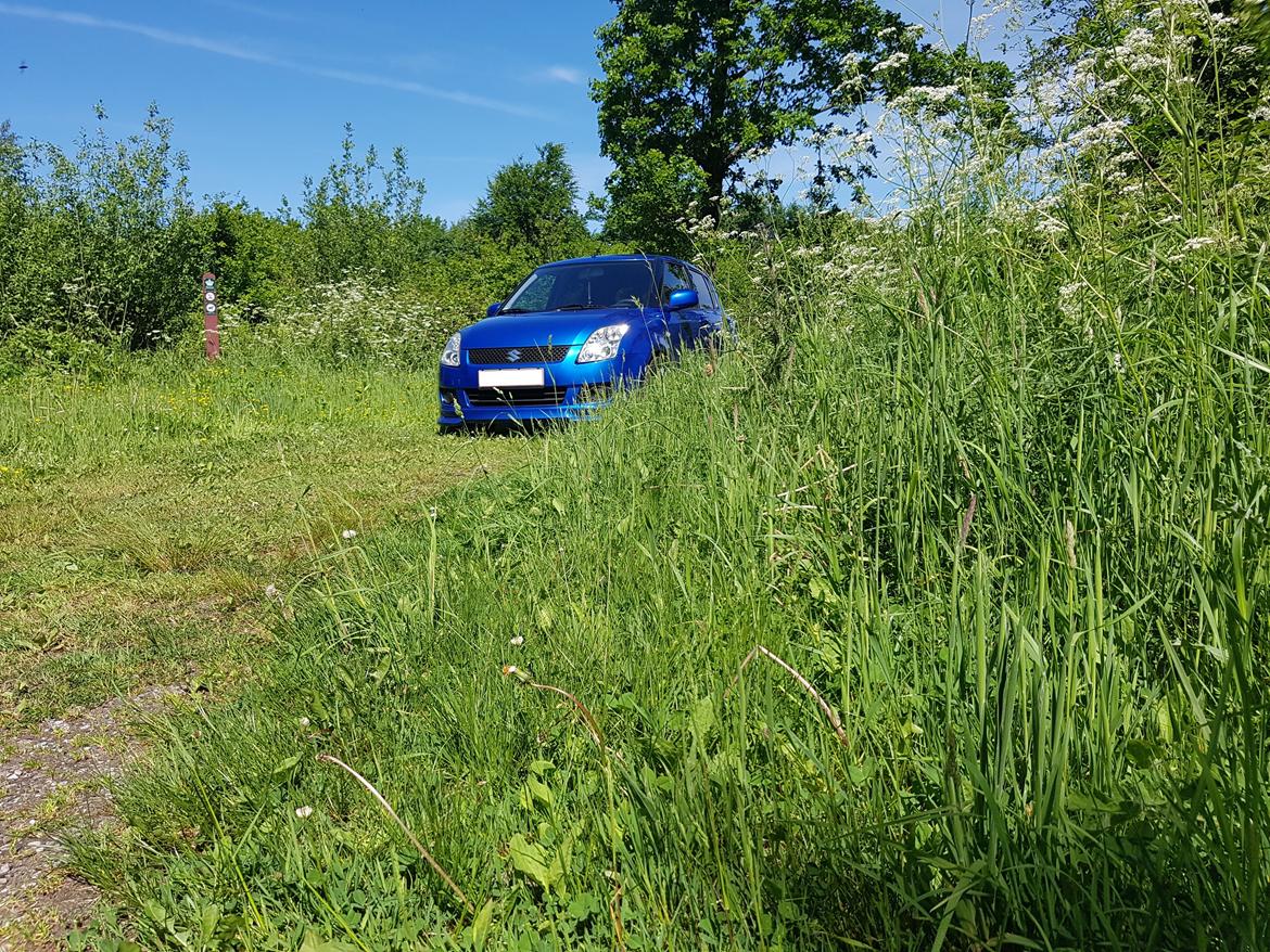 Suzuki swift 1,3 billede 8