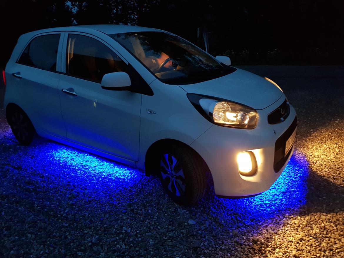 Kia Picanto billede 1