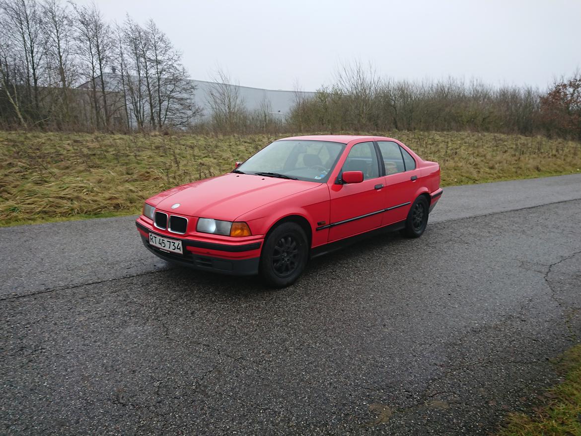 BMW E36 316i billede 1