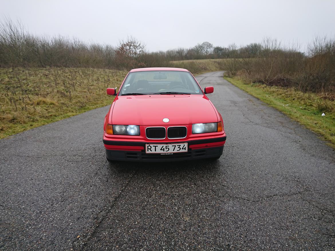 BMW E36 316i billede 2