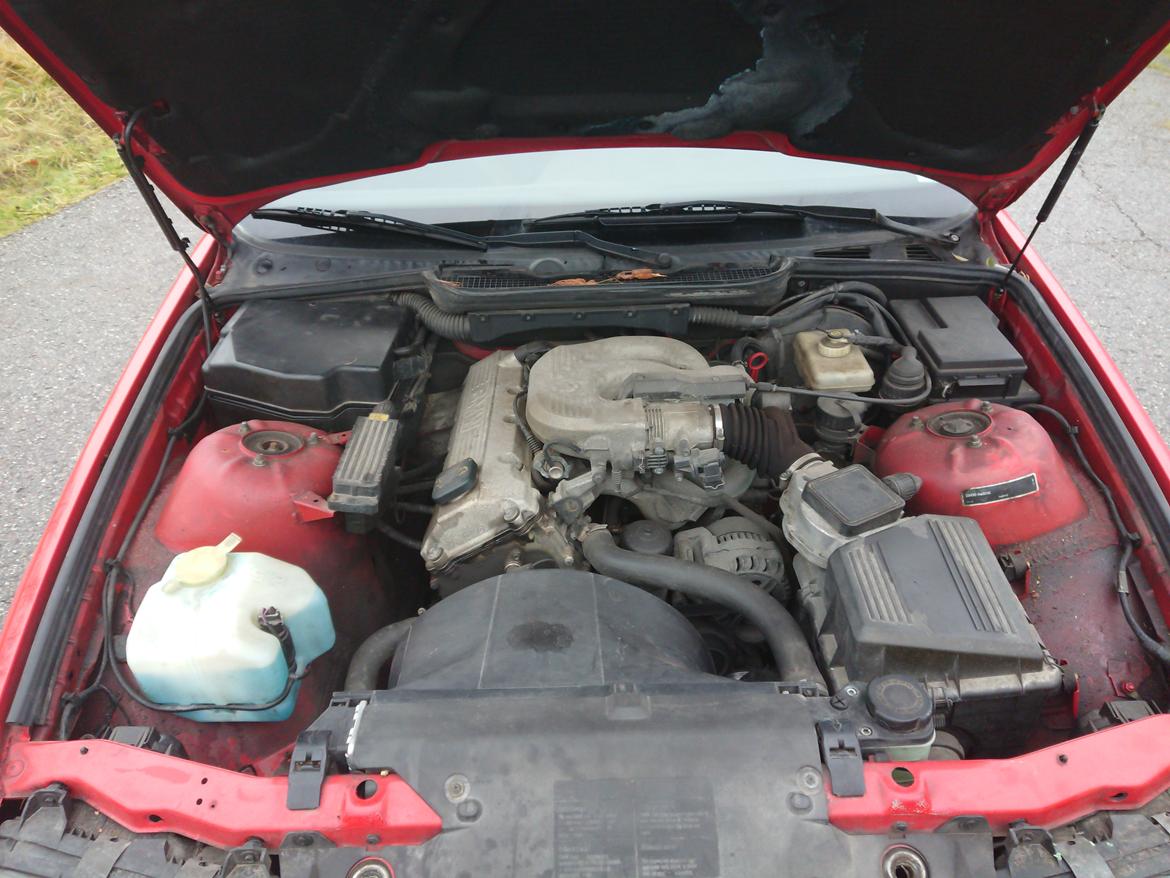 BMW E36 316i billede 11