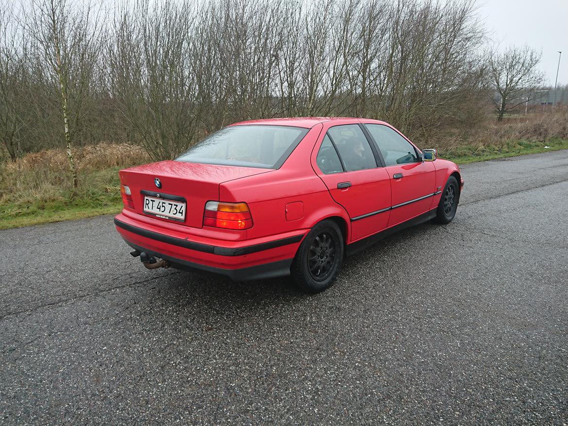 BMW E36 316i billede 6