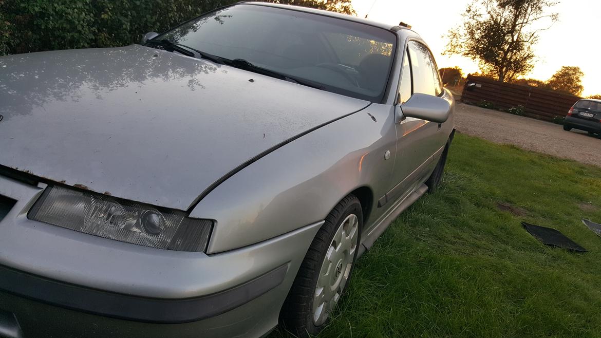 Opel Calibra A Sports Coupé 2,0i 8v - Nærbillede af bilen billede 4