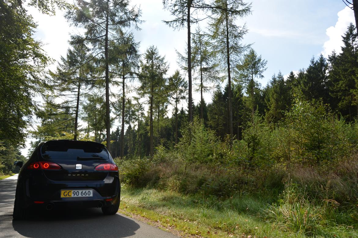 Seat Leon Cupra BTCC (K1) billede 7