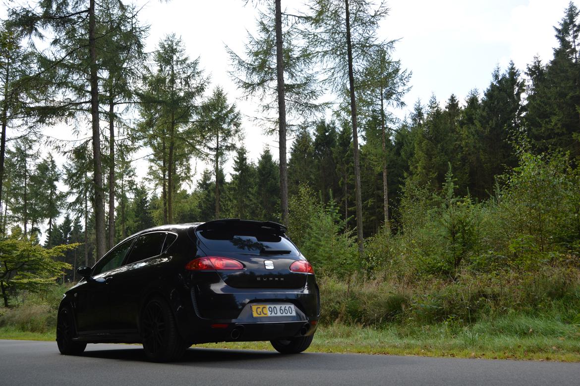 Seat Leon Cupra BTCC (K1) billede 8