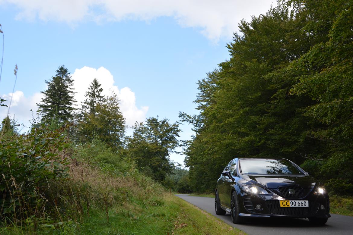 Seat Leon Cupra BTCC (K1) billede 9