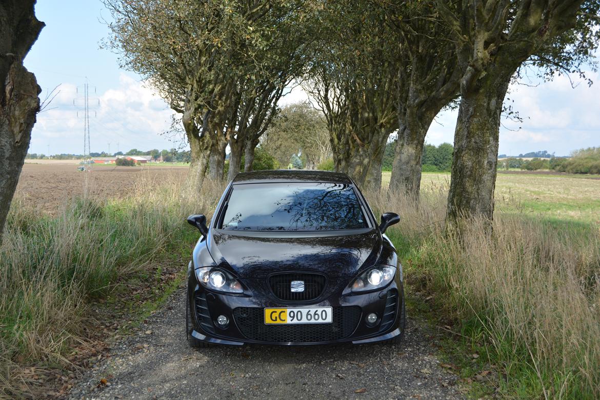 Seat Leon Cupra BTCC (K1) billede 13