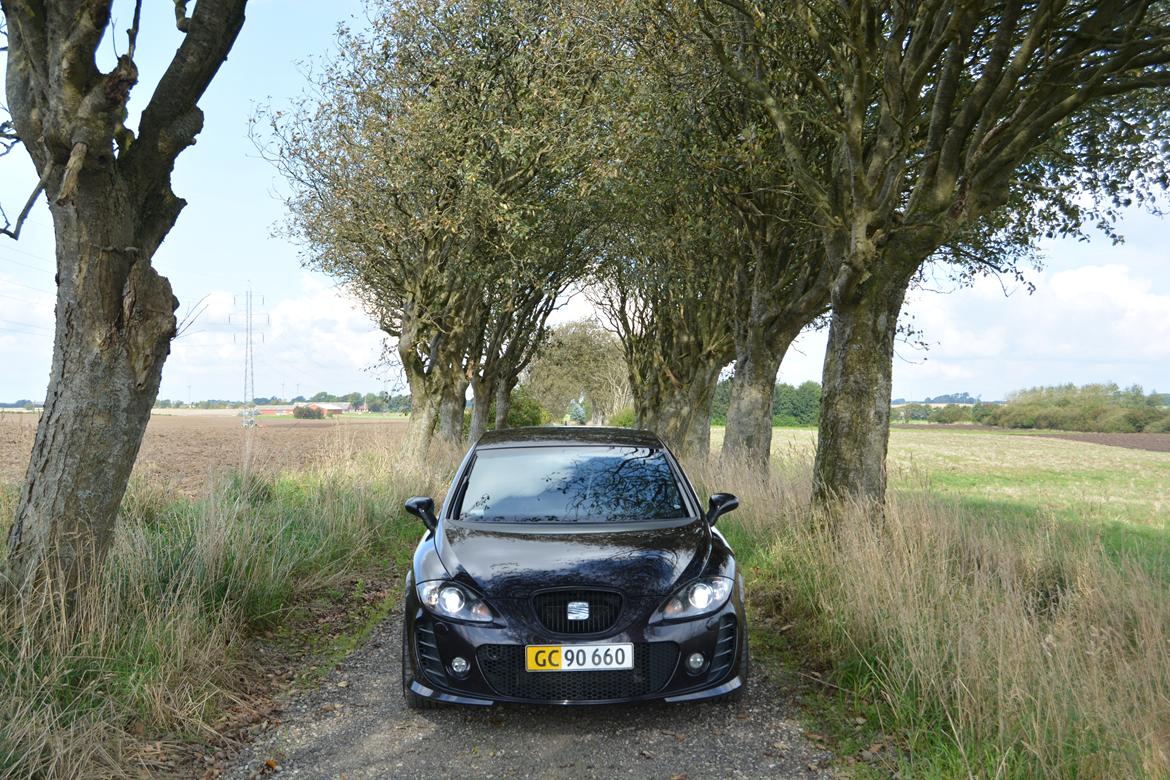 Seat Leon Cupra BTCC (K1) billede 12