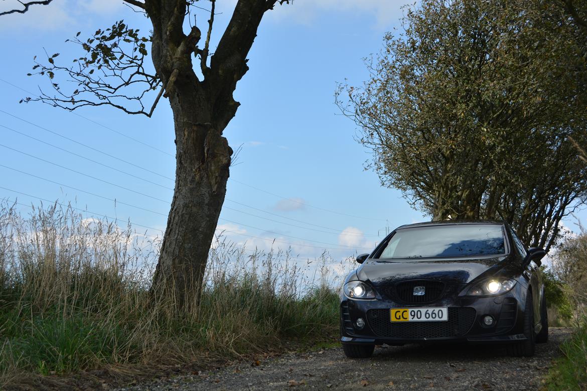 Seat Leon Cupra BTCC (K1) billede 16