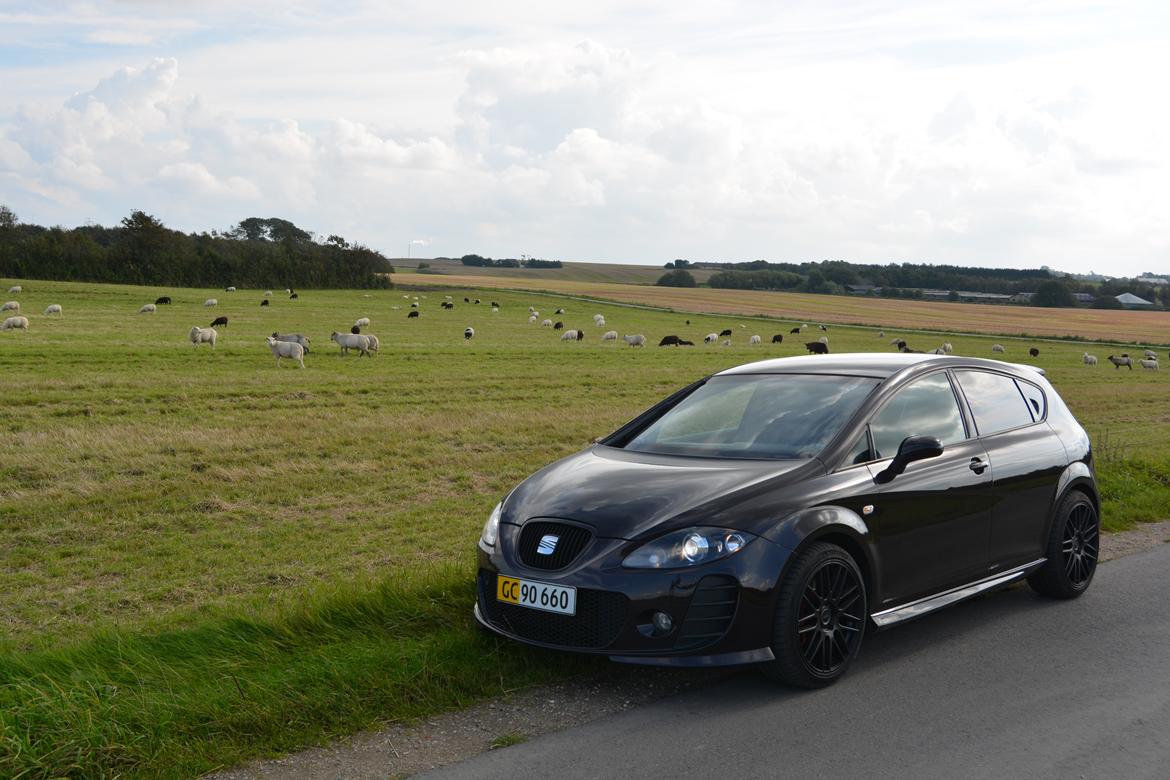 Seat Leon Cupra BTCC (K1) billede 17