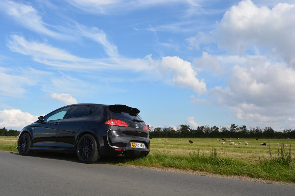 Seat Leon Cupra BTCC (K1) billede 18