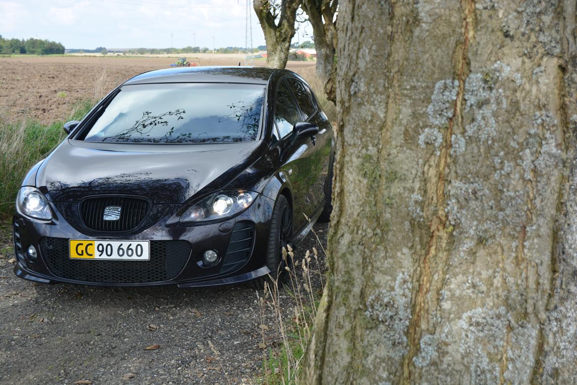 Seat Leon Cupra BTCC (K1) billede 14