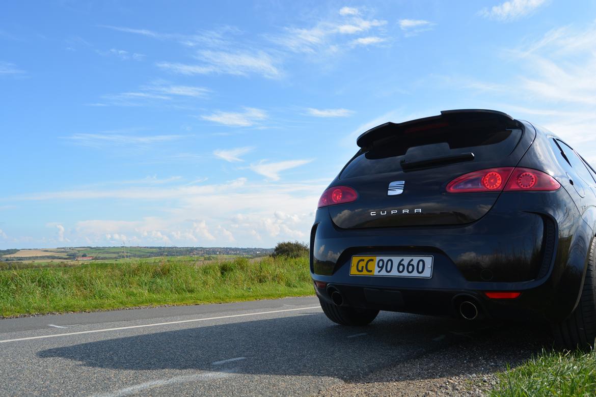 Seat Leon Cupra BTCC (K1) billede 19