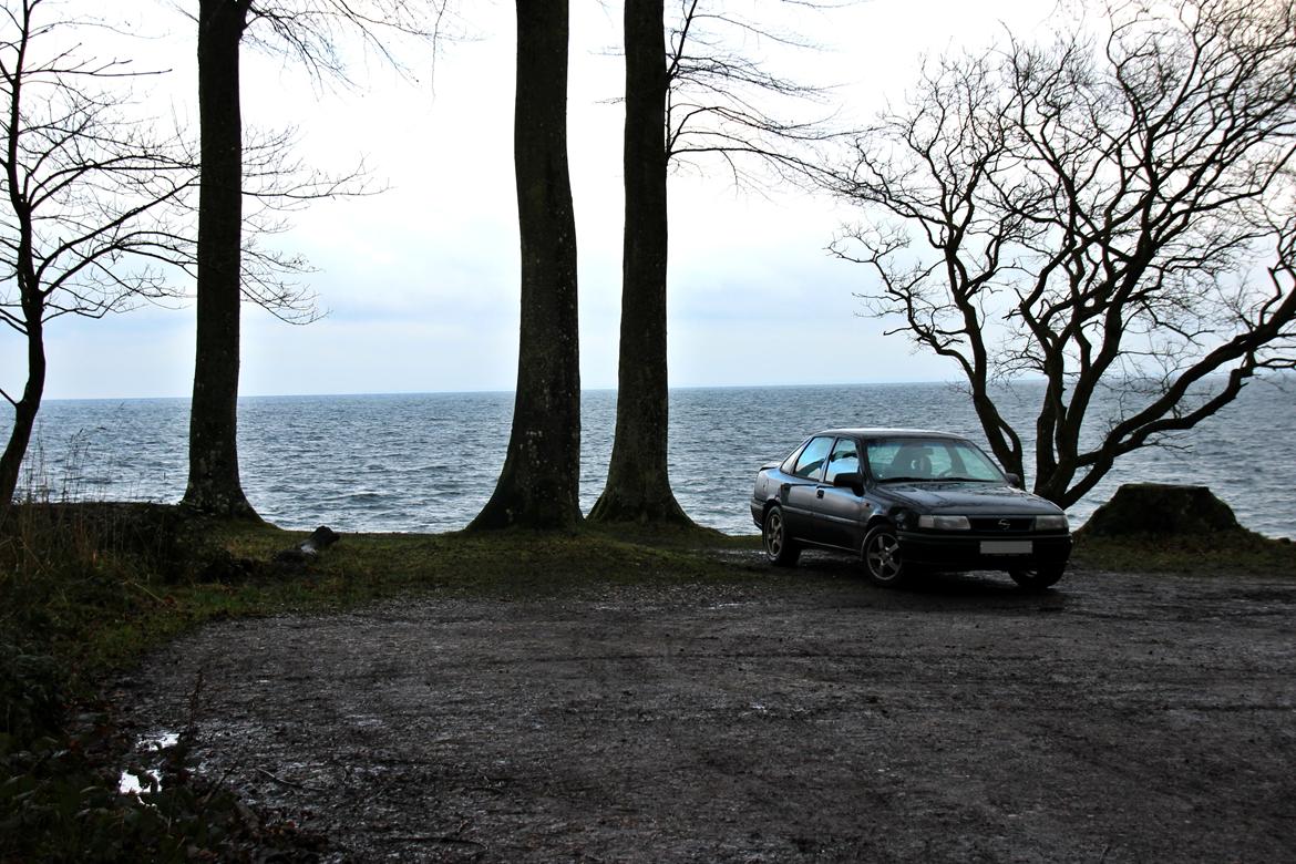 Opel Vectra A 1.6 billede 4