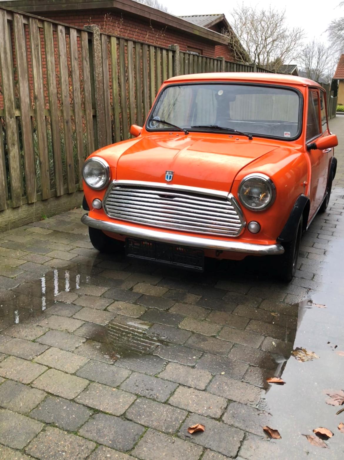 Mini Morris Mascot 1000 billede 3