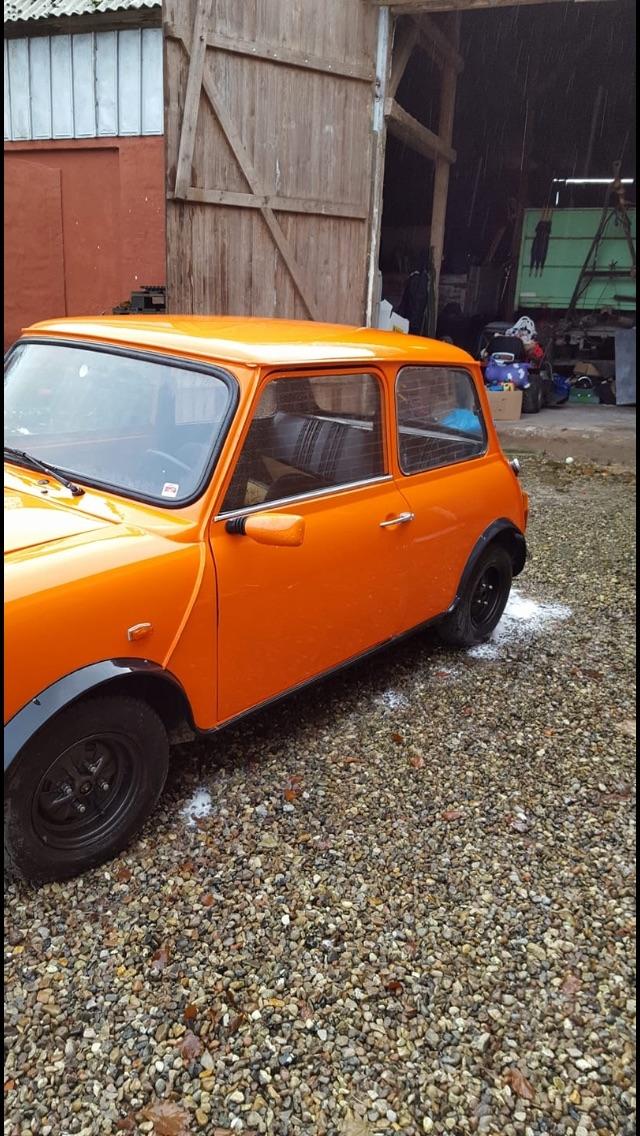 Mini Morris Mascot 1000 billede 8