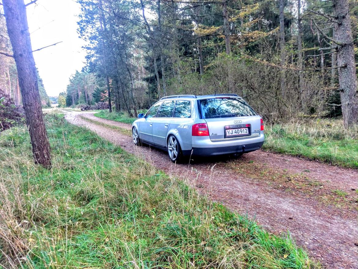 Audi A6 C5 billede 6